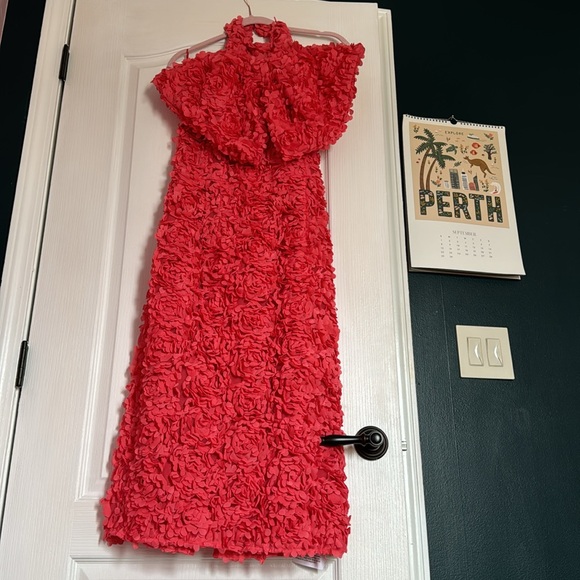 ASOS LUXE 3D floral backless midi dress with oversized bow - sz 10 - NWT - Picture 2 of 15